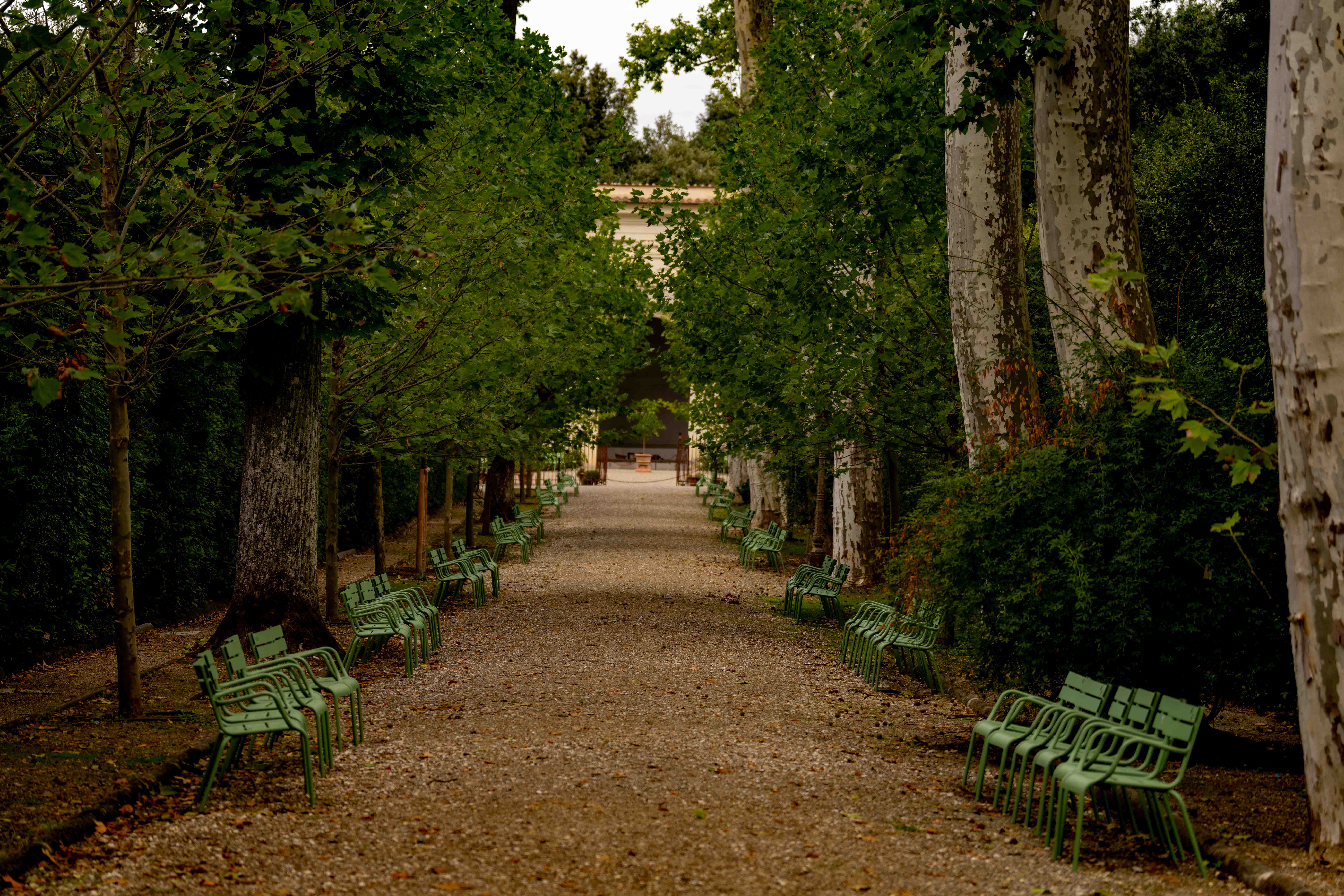 Photos from travel in Rome, Florence, Venice, Fall 2025.